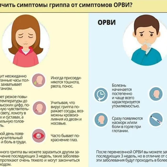 Все чем разница между гриппом и ОРВИ