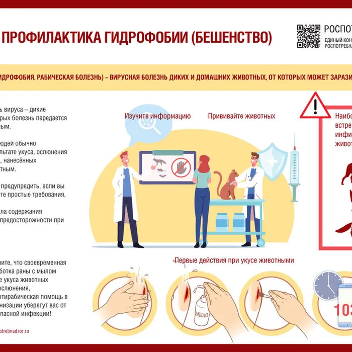 «Обратите внимание, бешенство!»