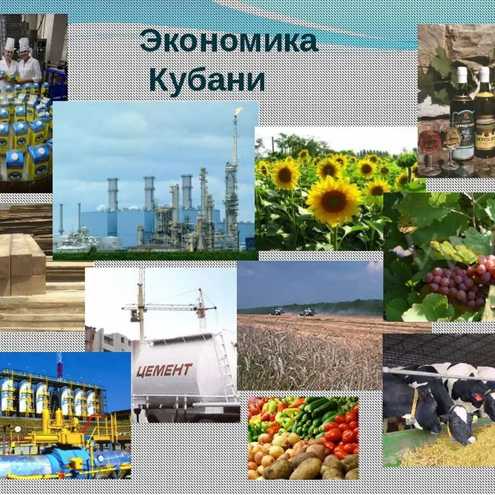 В Краснодарском крае создан и реализуется проект #кубаньиндустриальная