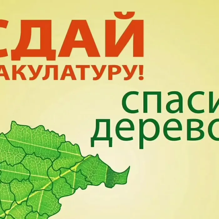 Весной на Кубани пройдет экомарафон «Сдай макулатуру – спаси дерево»!