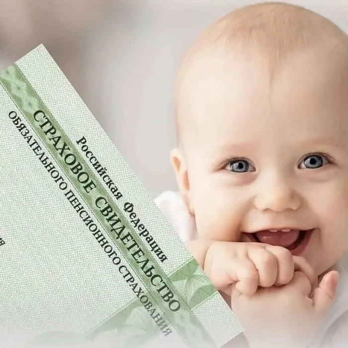 С 1 января 2023 года Отделение СФР по Краснодарскому краю проактивно оформило СНИЛС 82 тысячам новорожденных малышей